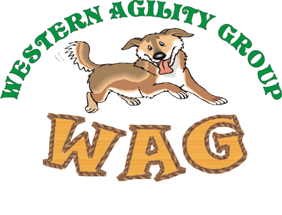 wag the dog 